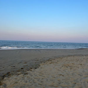 Meet your Posher, Ella